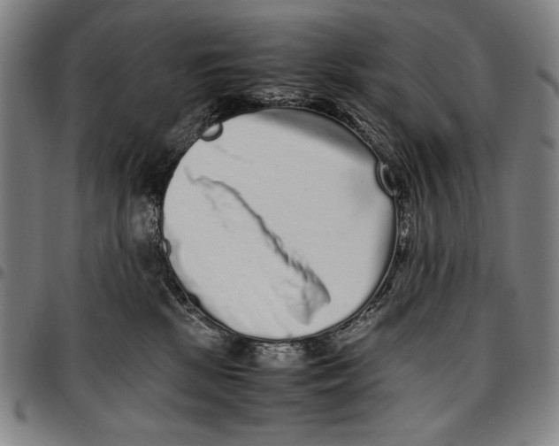 X0000097000281200802291154