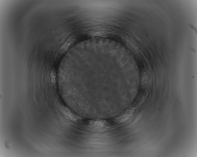 X0000097000282200802291154