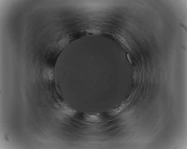 X0000097000285200802291154