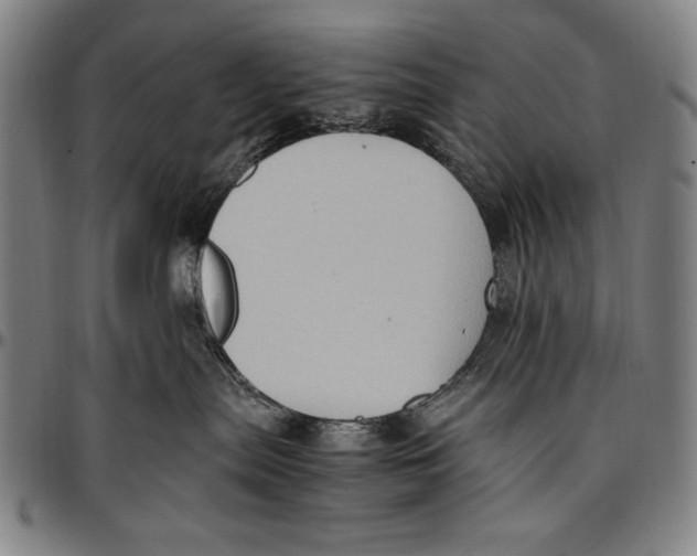 X0000097000287200802291155