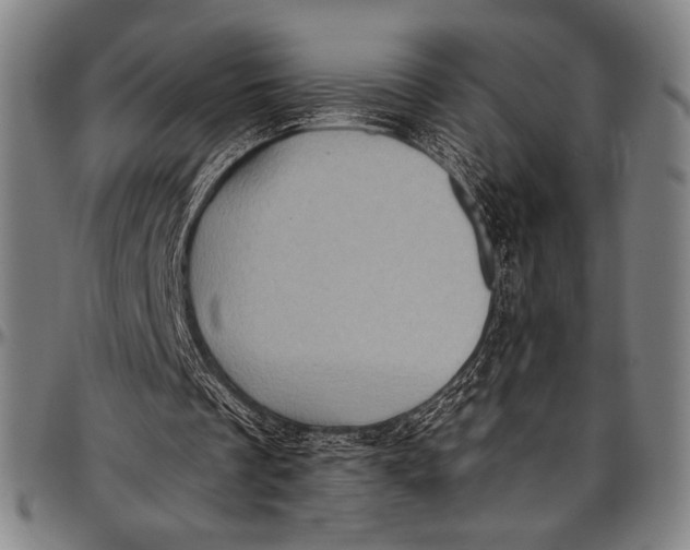 X0000097000289200802291154