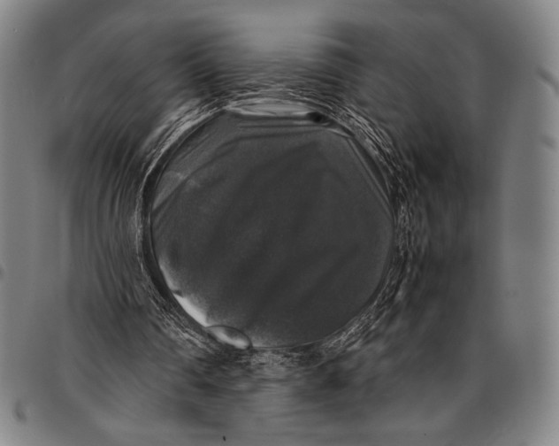 X0000097000290200802291154