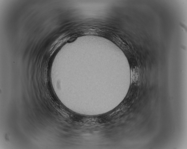 X0000097000291200802291154