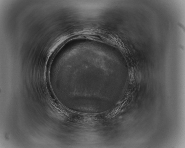 X0000097000292200802291154