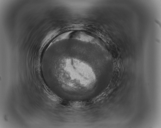 X0000097000293200802291154