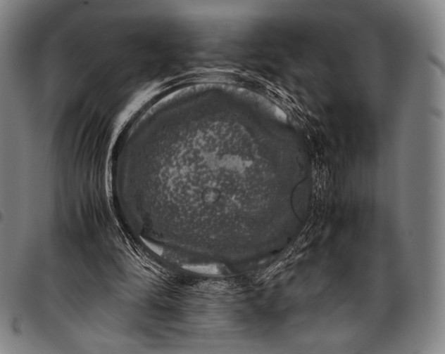 X0000097000294200802291154