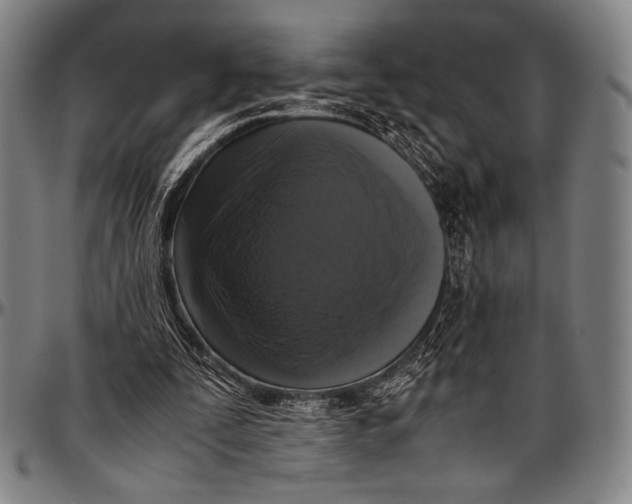 X0000097000295200802291154