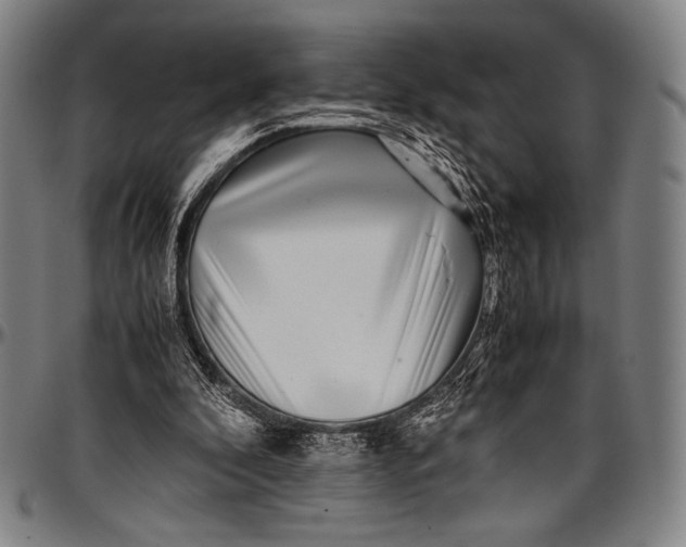 X0000097000296200802291154