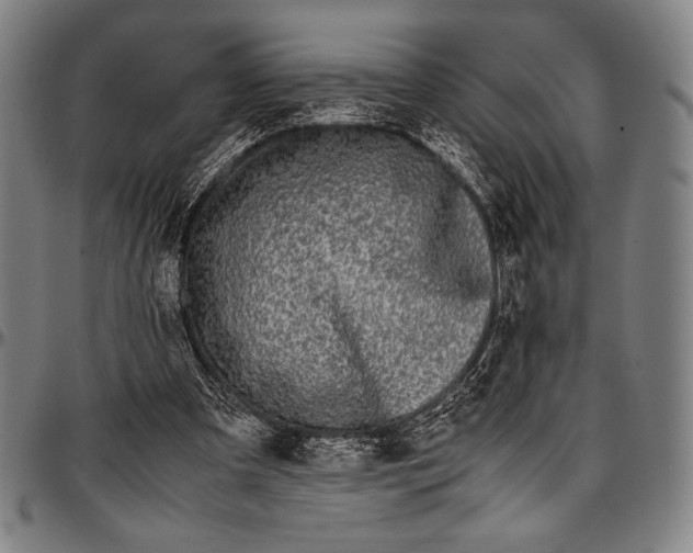 X0000097000297200802291154