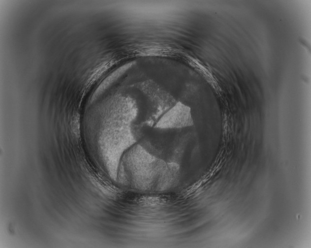 X0000097000298200802291154