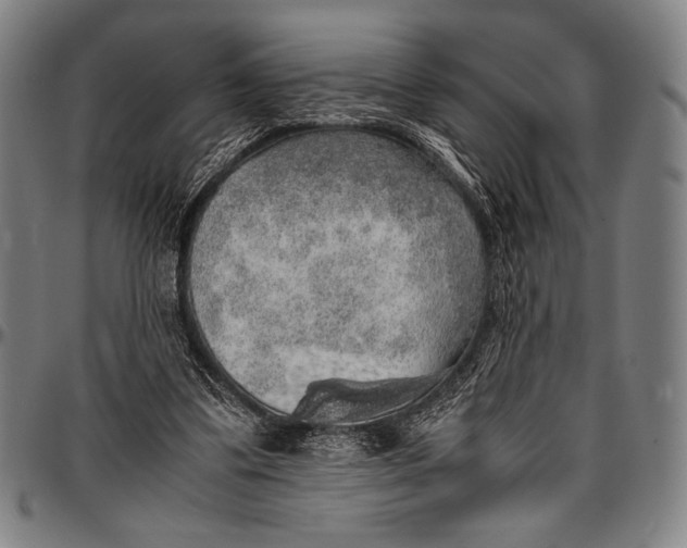 X0000097000299200802291154