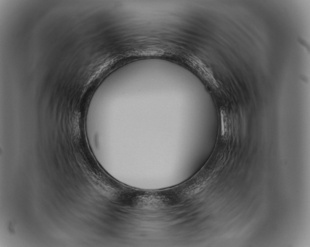 X0000097000300200802291154