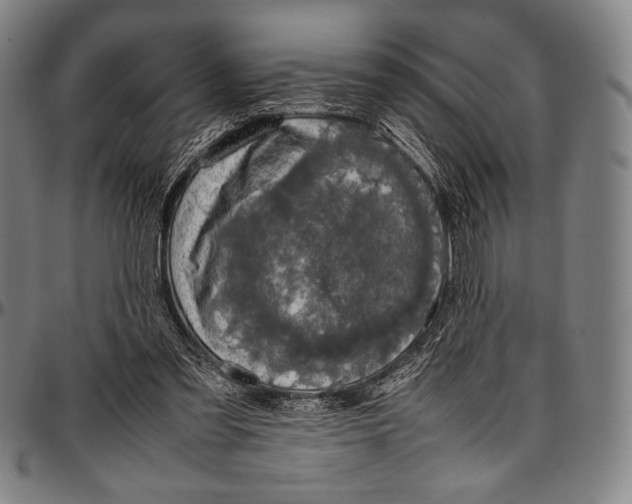 X0000097000301200802291154