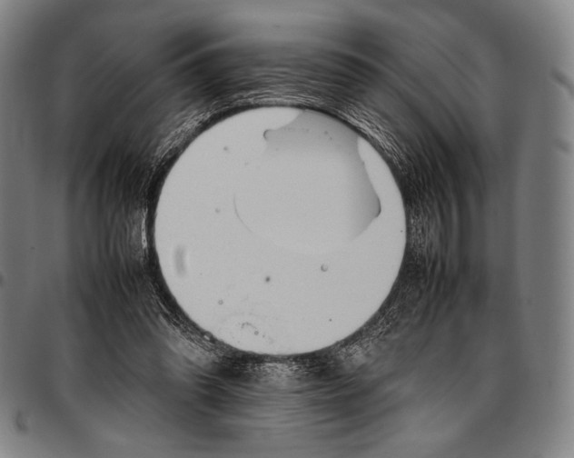 X0000097000302200802291154