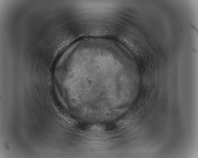 X0000097000303200802291154