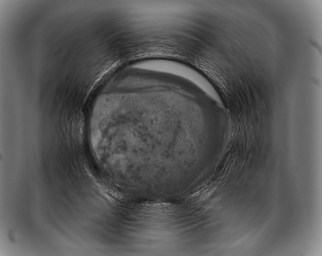 X0000097000304200802291154