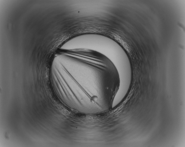 X0000097000305200802291153