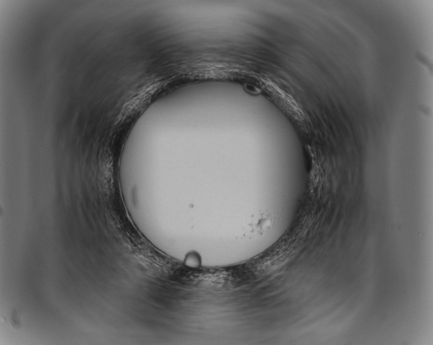 X0000097000306200802291153