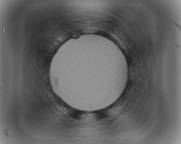 X0000097000307200802291153