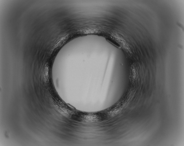 X0000097000308200802291153