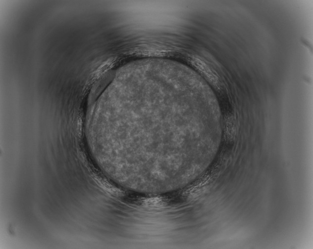 X0000097000309200802291153