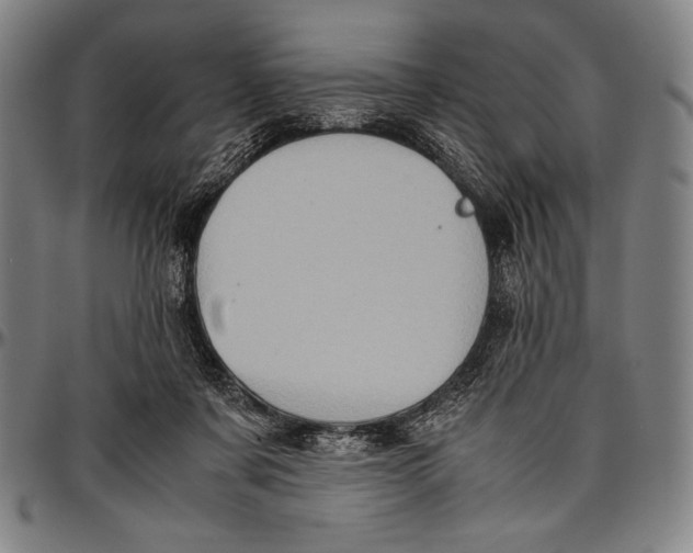 X0000097000311200802291153