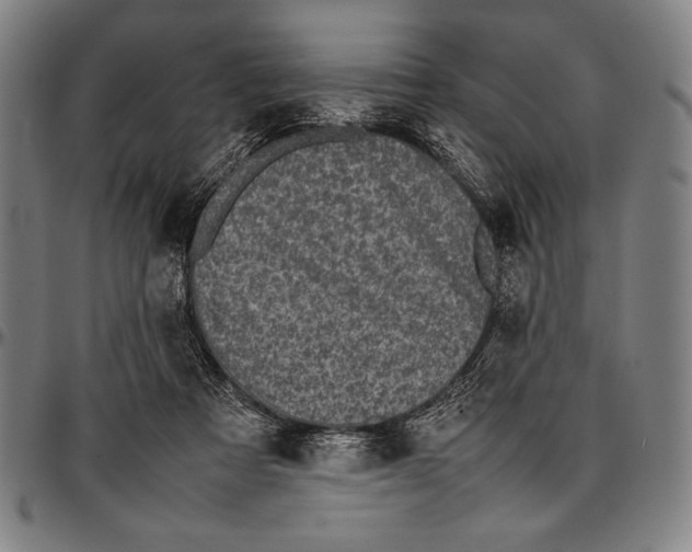 X0000097000313200802291153