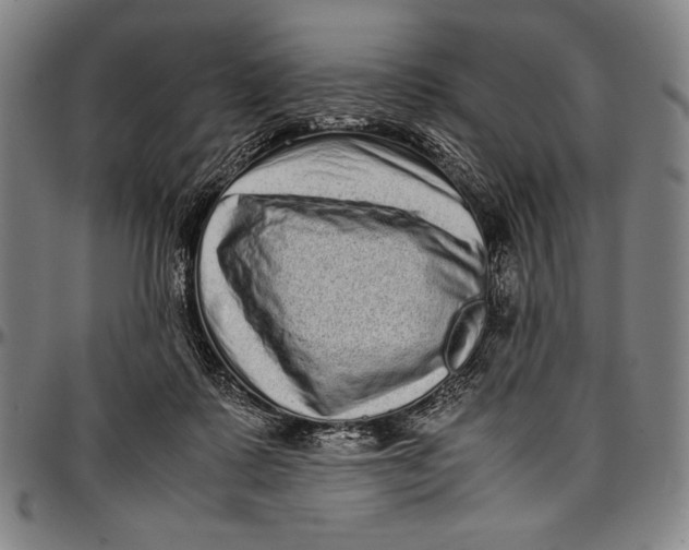 X0000097000315200802291153