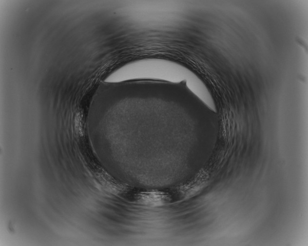 X0000097000316200802291153