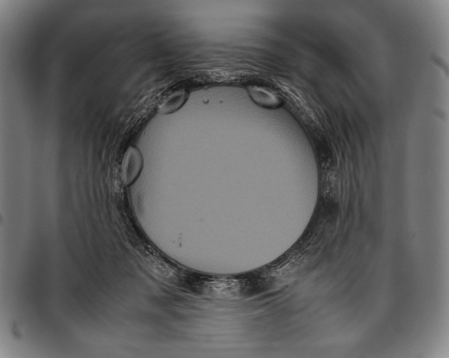 X0000097000317200802291153