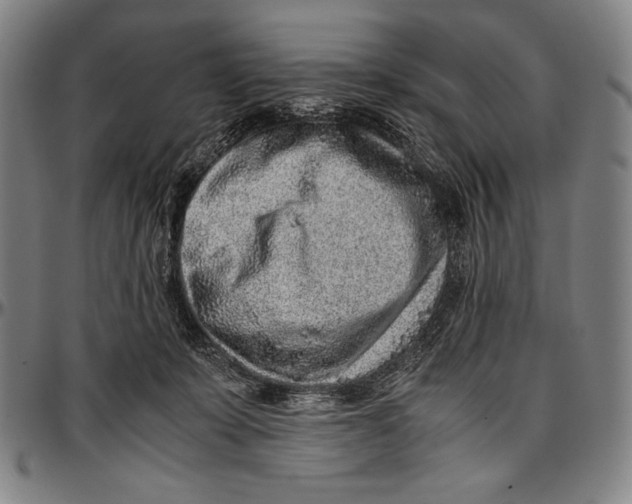 X0000097000319200802291153