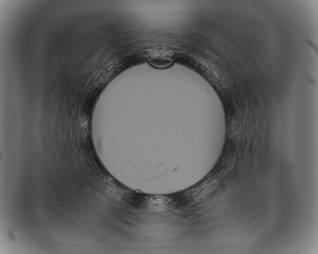 X0000097000321200802291153