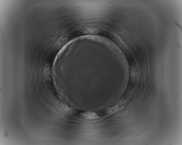 X0000097000322200802291153