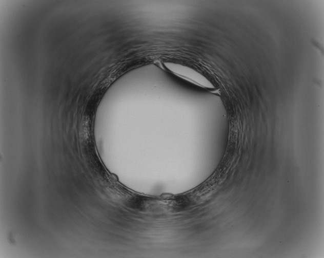 X0000097000323200802291153