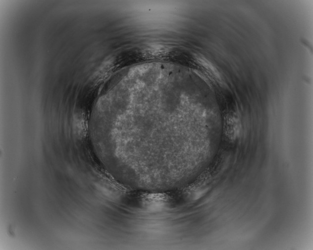 X0000097000324200802291153