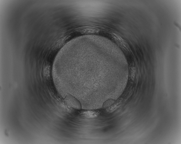 X0000097000326200802291153