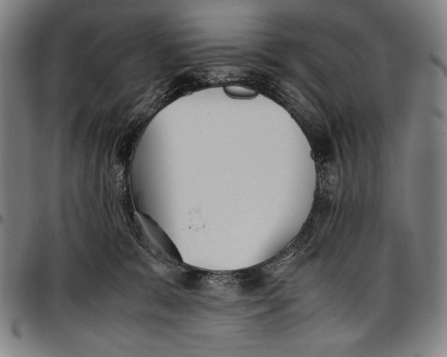 X0000097000327200802291153