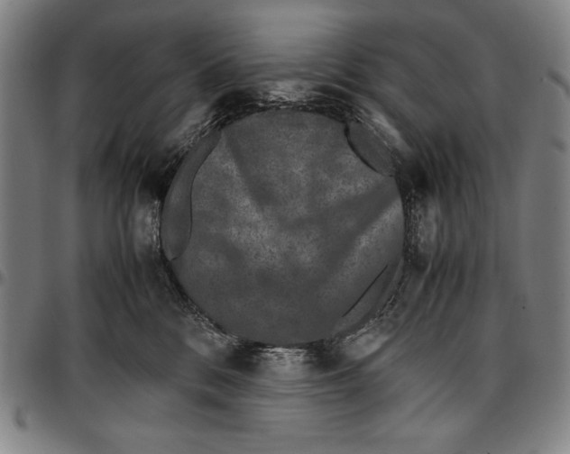 X0000097000328200802291153