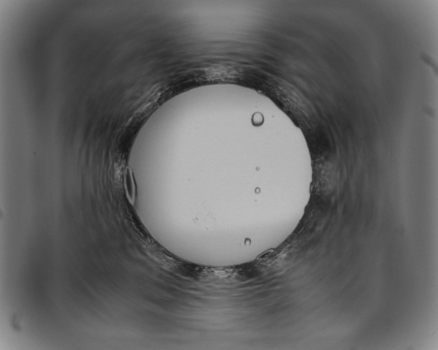 X0000097000329200802291153