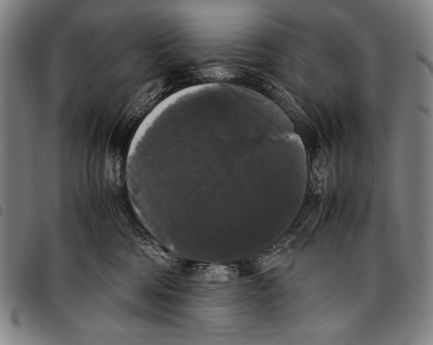 X0000097000330200802291153