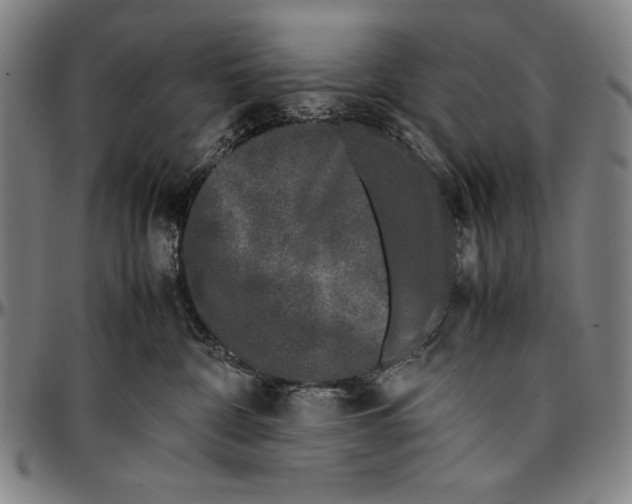 X0000097000332200802291153