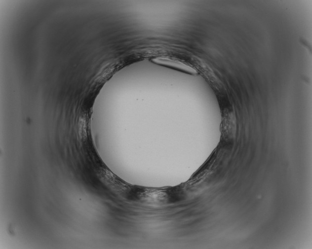 X0000097000333200802291153