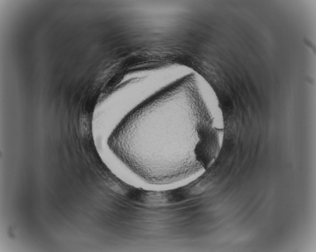 X0000097000335200802291153