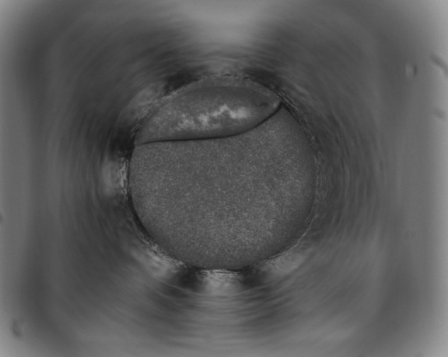 X0000097000336200802291153