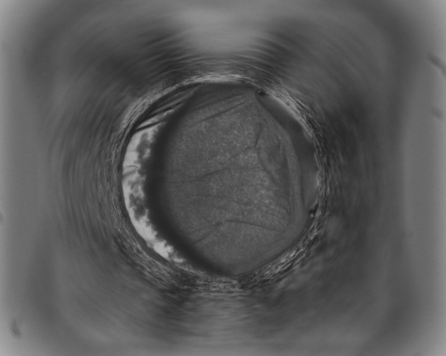 X0000097000337200802291152