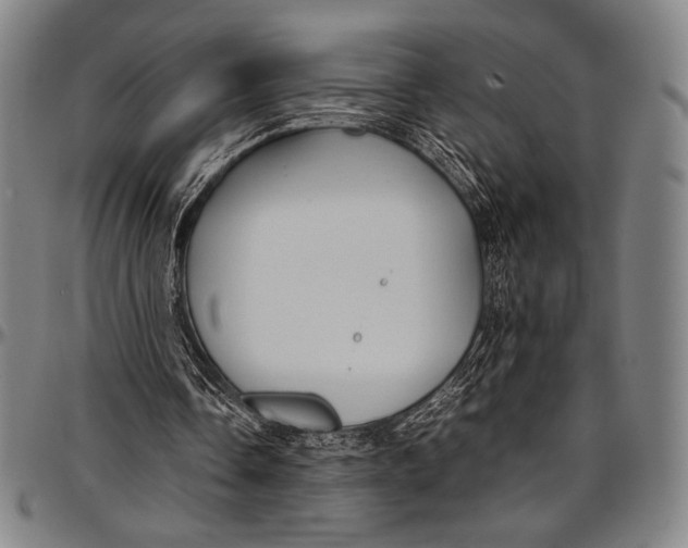 X0000097000338200802291152