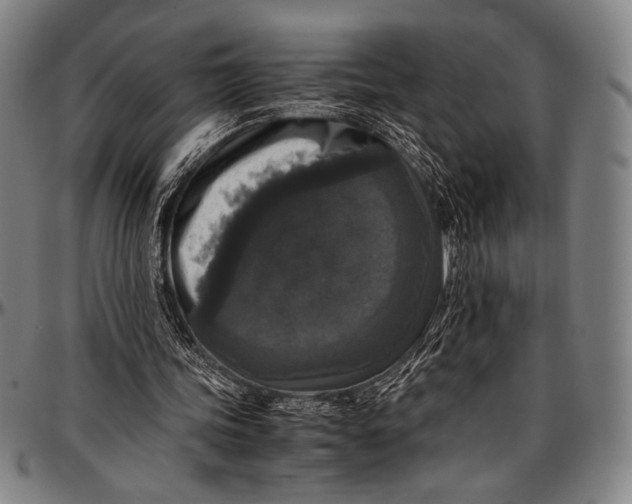 X0000097000339200802291152