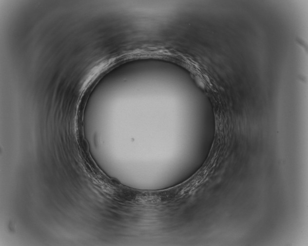 X0000097000340200802291152