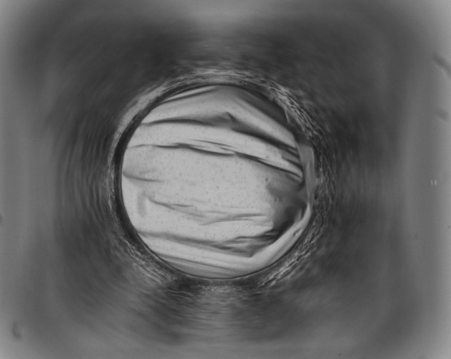 X0000097000342200802291152