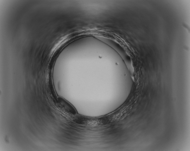 X0000097000344200802291152